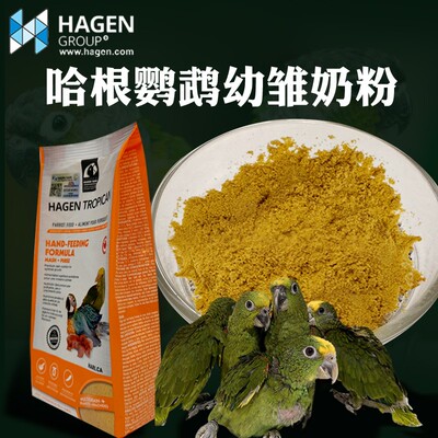 哈根哈利鹦鹉奶粉金刚灰鹦鹉小太阳幼雏鸟营养增肥手养奶粉易消化