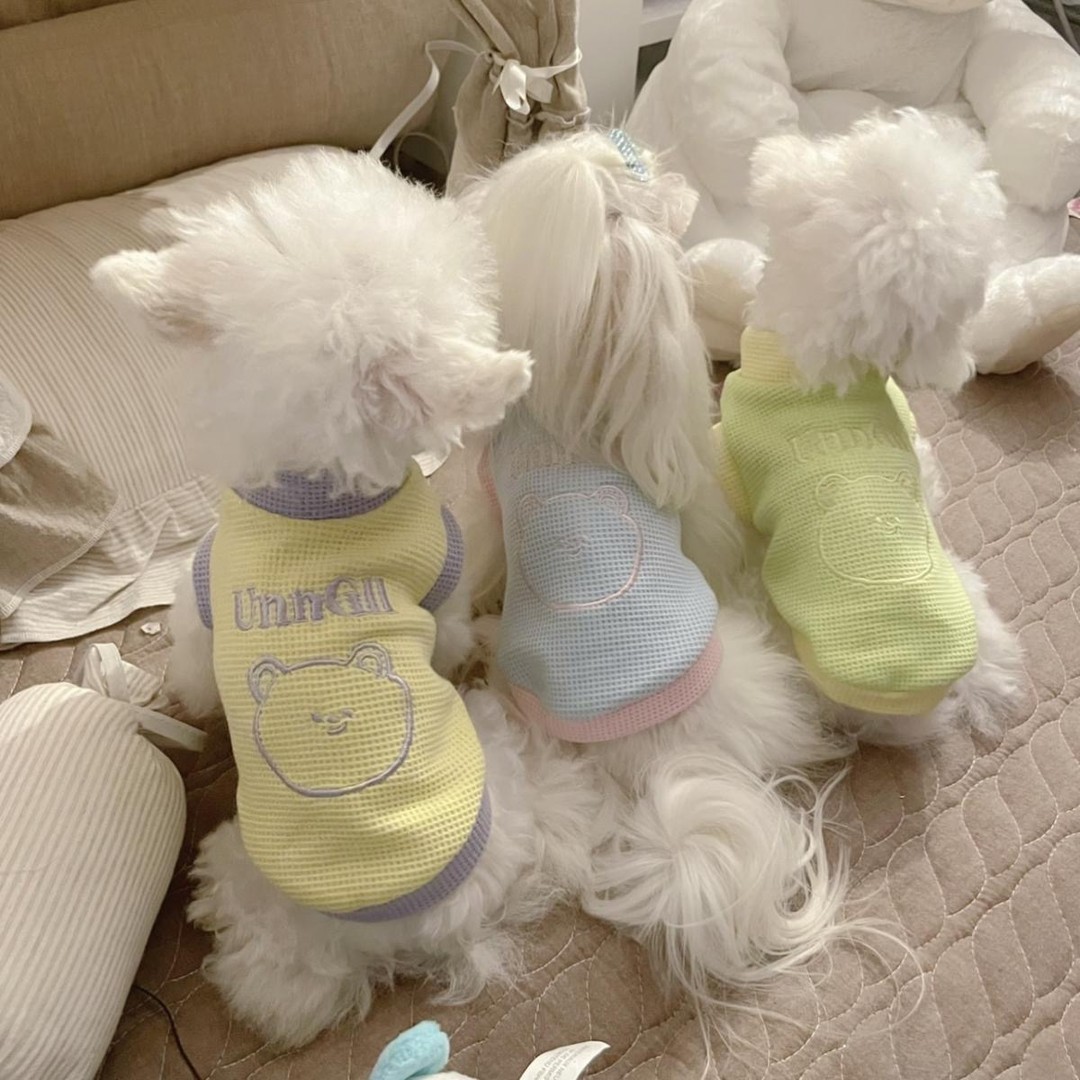 秋冬宠物小狗狗衣服春夏季马尔济狗宠物服装/雨衣