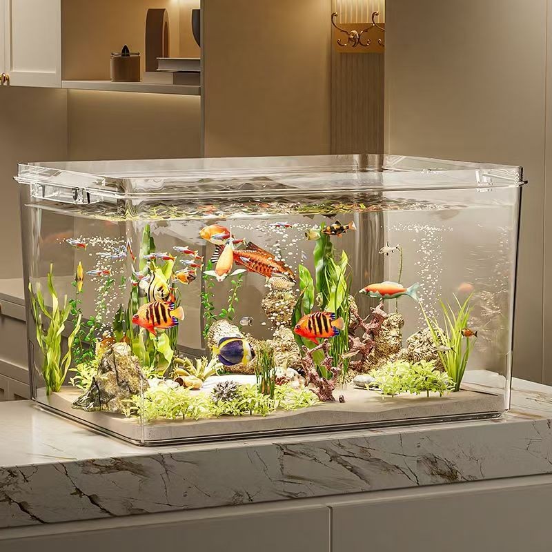 透明收纳箱养鱼家用塑料箱子大容量收纳盒装鱼箱钓箱周转箱活鱼缸