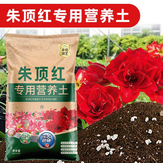 种朱顶红专用土通用型球根种球专用土花土壤专用肥料泥土疏松土壤图片