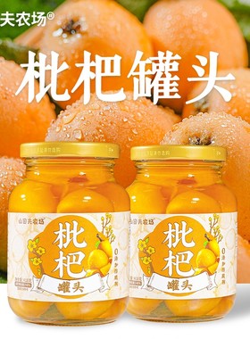 枇杷罐头418g*2罐水果罐头果肉饱满舒润清甜0防腐剂0甜味剂应季