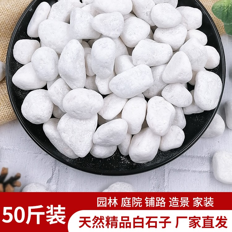 50斤天然石子石头大鹅卵石庭院铺路铺地小白石头园林枯石头造景