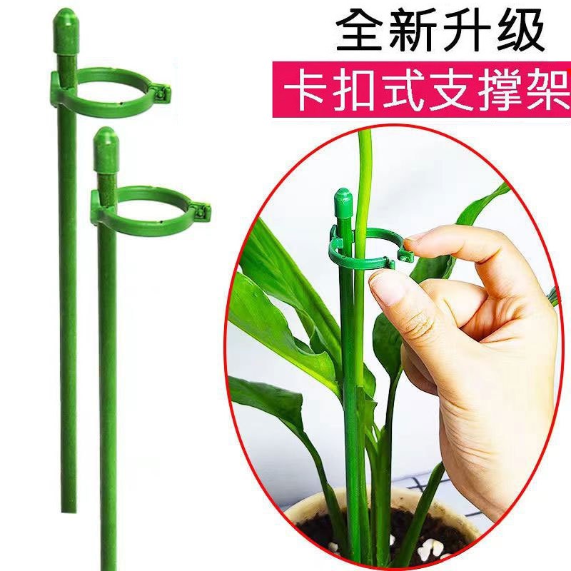 支撑架植物防倒伏支撑杆西红柿番茄辣椒固定杆爬藤吊兰园艺花架