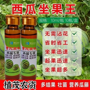 西瓜专用座果灵免对花授粉神器提高座果率防裂防畸形起果迅速