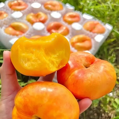 顺丰发货彩虹蟠桃香甜多汁皮薄现摘蜜桃新鲜水果当季热卖杨桃
