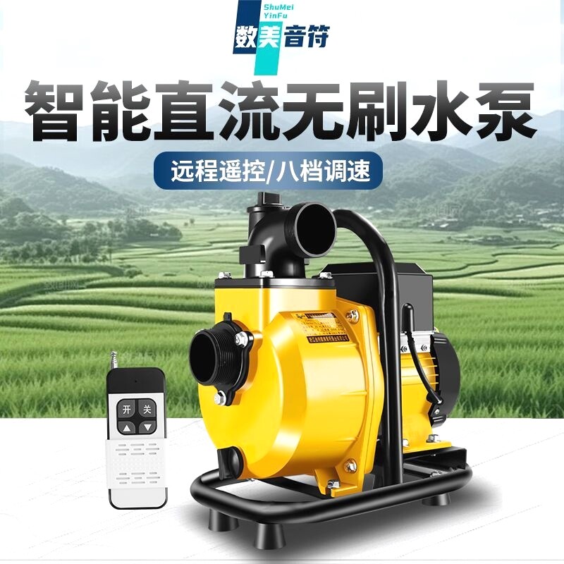 永磁变频无刷直流自吸泵48V60v72伏大流量电动车抽水机电瓶车水泵