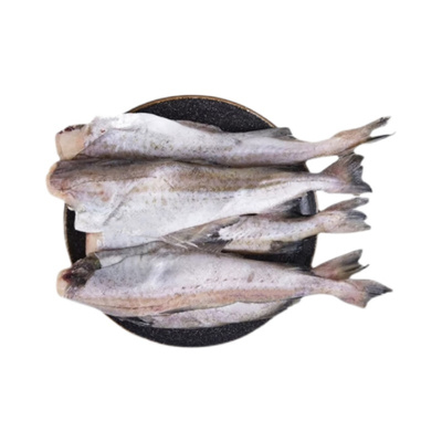 新鲜去头鳕鱼冷冻明太鱼无头鳕鱼鱼块鲜海鲜无头鱼宝宝辅食