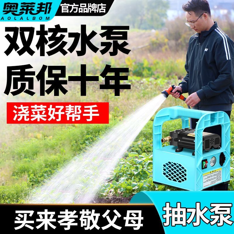 家用充电式抽水泵小型锂电动自吸12V户外农田农用浇菜灌溉水泵