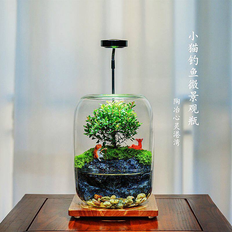 小猫钓鱼微景观水晶球养鱼摆件生态鱼缸百搭桌面装饰