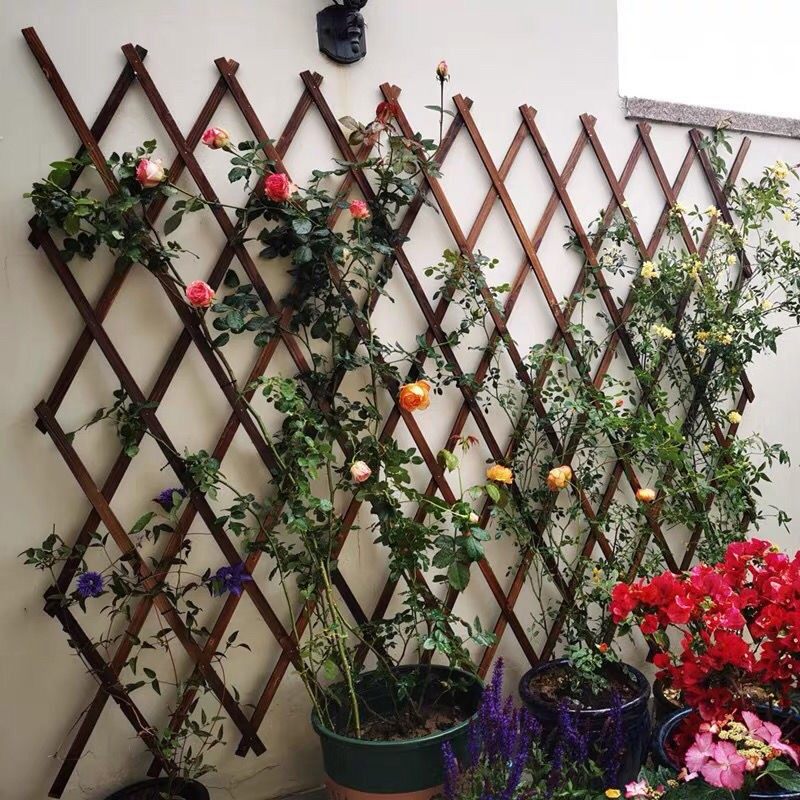 【绿航】庭院碳化防腐伸缩拉网片木栅栏木篱笆绿植物爬藤攀爬户外,鲜花速递/花卉仿真/绿植园艺,栅栏,淘宝优惠券,粉丝福利购,淘宝优惠卷