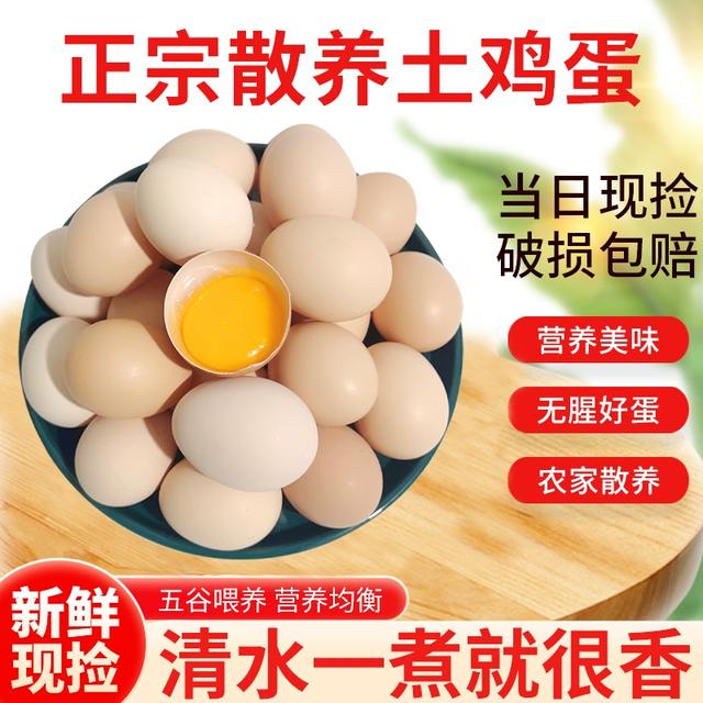田农肴现捡现发50枚农村土鸡蛋山林散养谷物喂养鸡蛋40-50克/枚