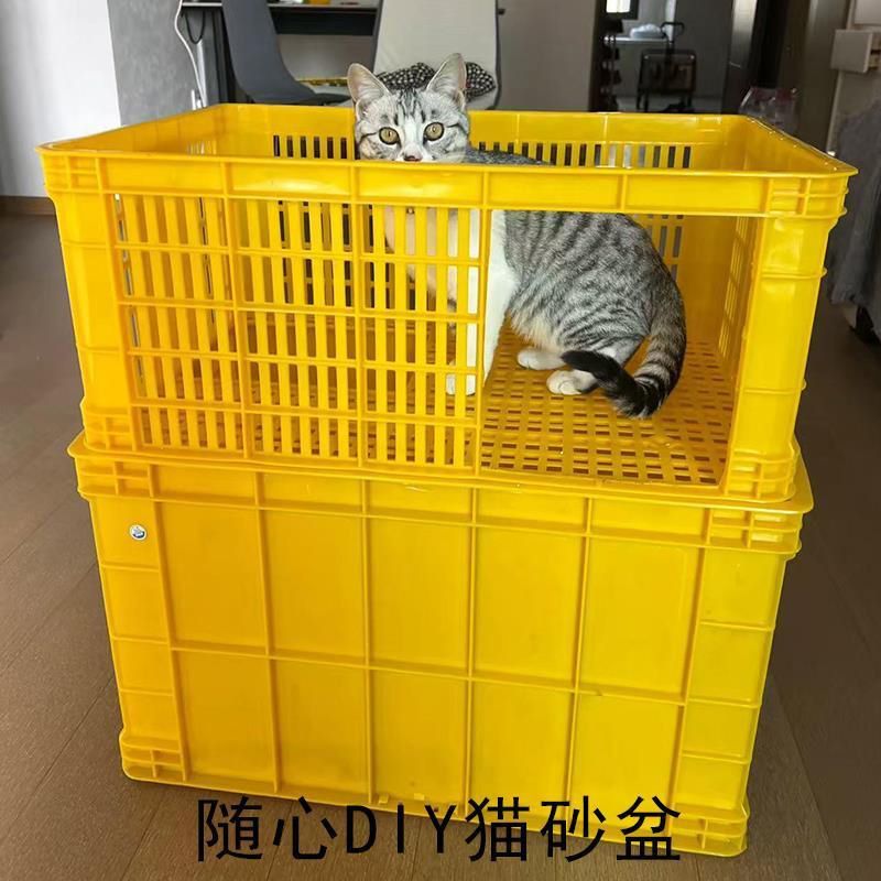 自制猫砂盆不漏沙网红自制猫砂盆可拆卸两层双层猫砂盆防漏砂塑料