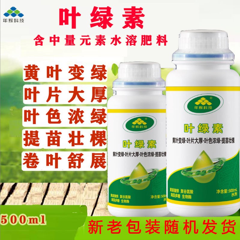 叶绿素年辉黄叶变绿叶片大厚提苗壮棵柑橘果水稻小麦叶面肥