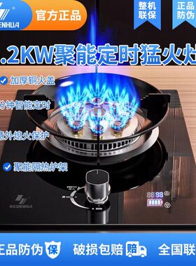 申花燃气灶单灶家用煤气灶猛火出租屋液化气天然气一级节能单眼炉
