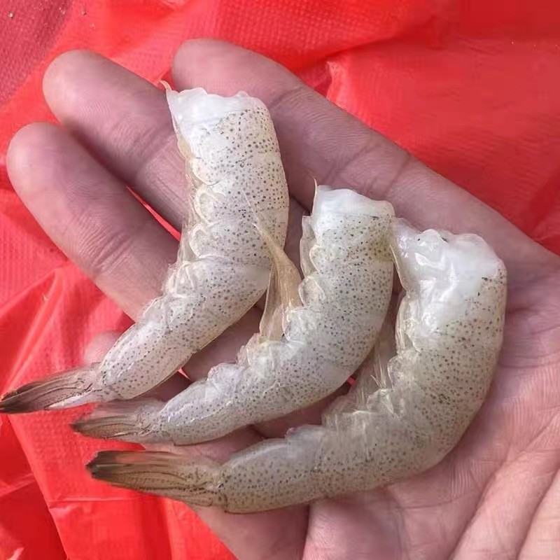 甜蜜海岸sweet coast野生羊毛虾尾小白虾宝宝辅食去头海虾3斤/箱