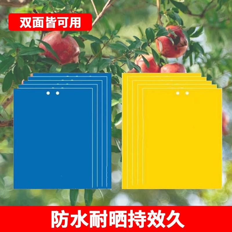 双面防水装黄板诱虫板灭虫板果园大棚粘板两种颜色选择