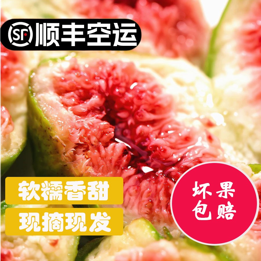 顺丰空运包邮 威海现摘新鲜无花果软糯香甜饱满清香包赔