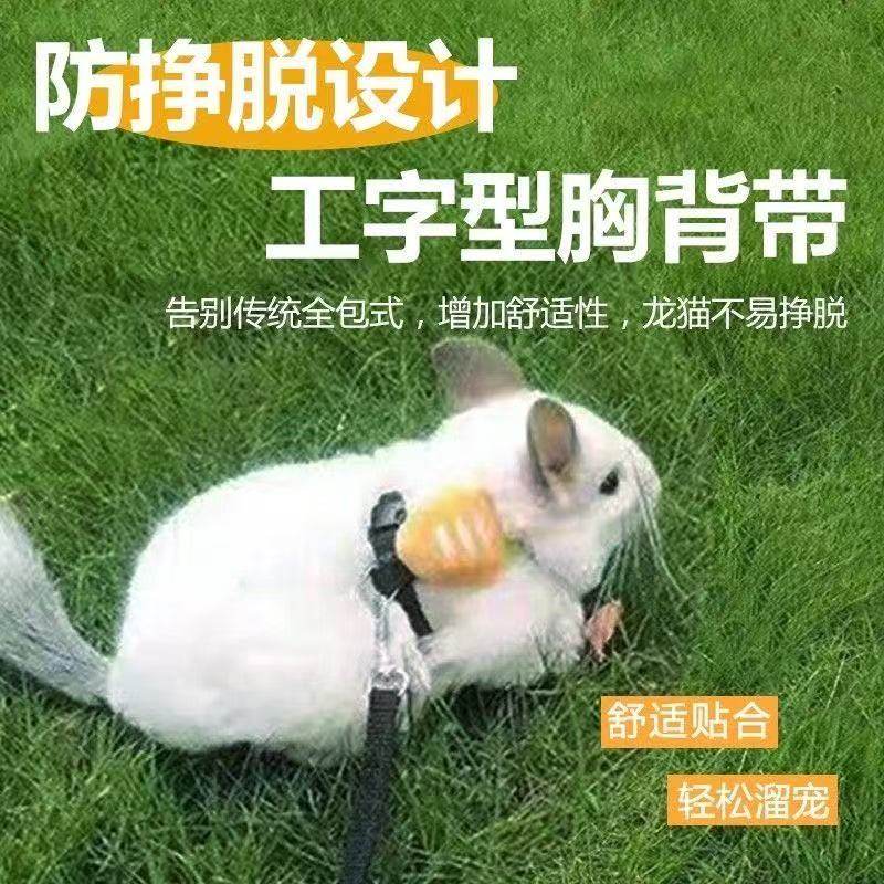 侏儒牵引绳超小型挣脱龙猫兔龙兔子专用衣服调节外出宠物荷兰猪,宠物/宠物食品及用品,兔绳,淘宝优惠券,粉丝福利购,淘宝优惠卷