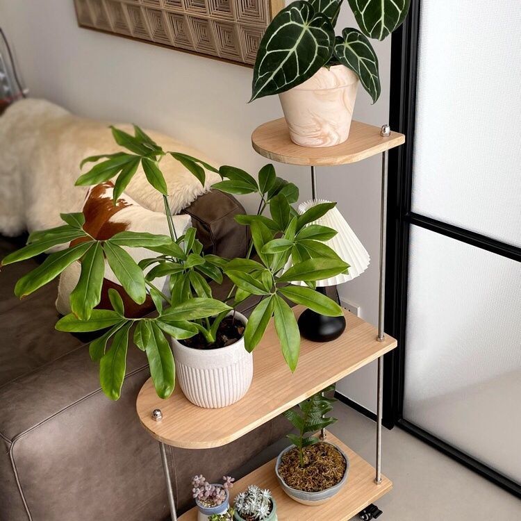 高档花架子可移动带轮落地式花草架创意绿植架阳台室内实木花架子