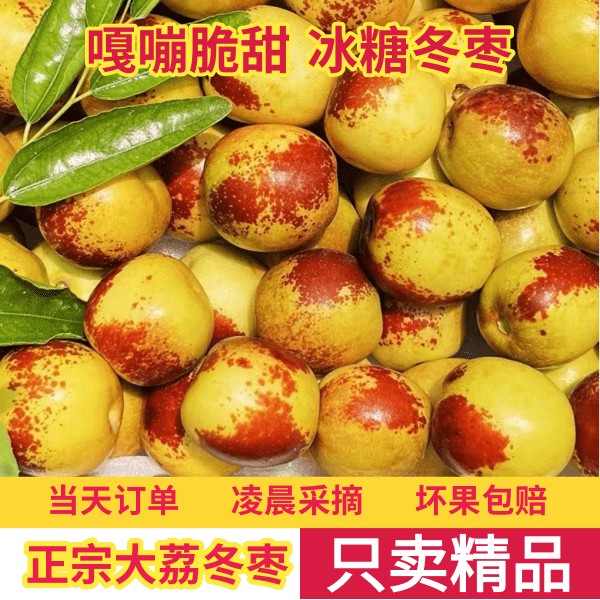 酥脆香甜 正宗陕西大荔冰糖冬枣产地直发3-5斤自然成熟枣味新鲜
