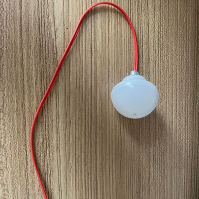 灯笼里面的电子灯户外防水高亮度暖光led灯泡灯笼配件diy灯笼走廊