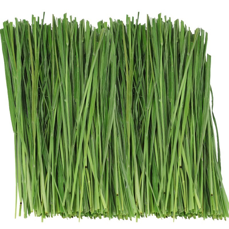 25年提草烘干提摩西干草切断 兔子龙猫豚鼠牧草岷县北提净重1000g