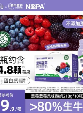 NOPA莓小仙黑莓蓝莓酸奶低GI营养健康益生菌218g*10瓶/箱