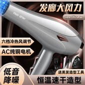 天使 吹风机恒温速干大功率家用电吹风理发店发型师专用风筒 恶魔
