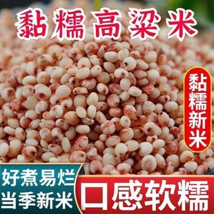 【买3斤送2斤】2025年粘糯红高粱米东北粗粮煮粥黏糯农家五谷杂粮
