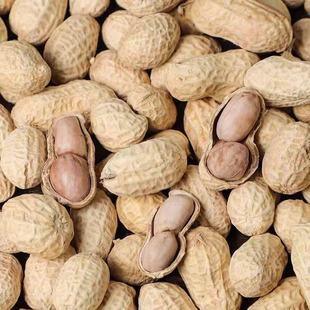 蒜香花生傻大哥蒜香味大颗粒厂家直销小袋下酒菜