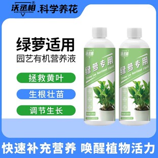 沃丞相绿萝营养液适用肥家用绿萝肥料通用植物液体生长配方