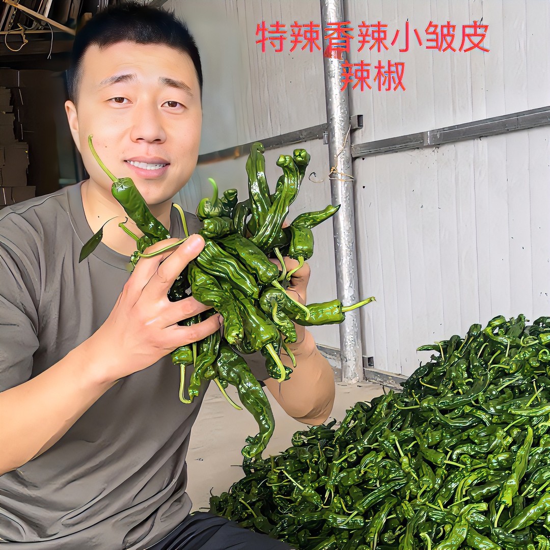 顺丰特辣香辣小皱皮辣椒小螺丝辣椒土辣椒1.5斤3斤5斤农家