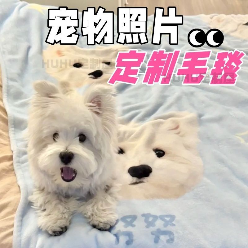 新款宠物纪念照片定制文字设计毛毯空调被毯子猫狗定制礼物