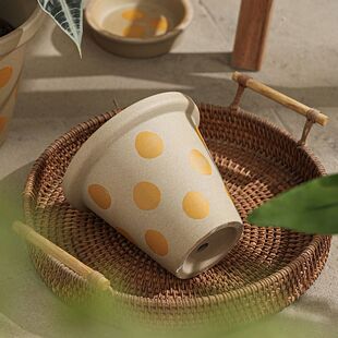 北欧花盆 ins风简约素胚花盆创意个性波点盆客厅阳台陶瓷花盆家居