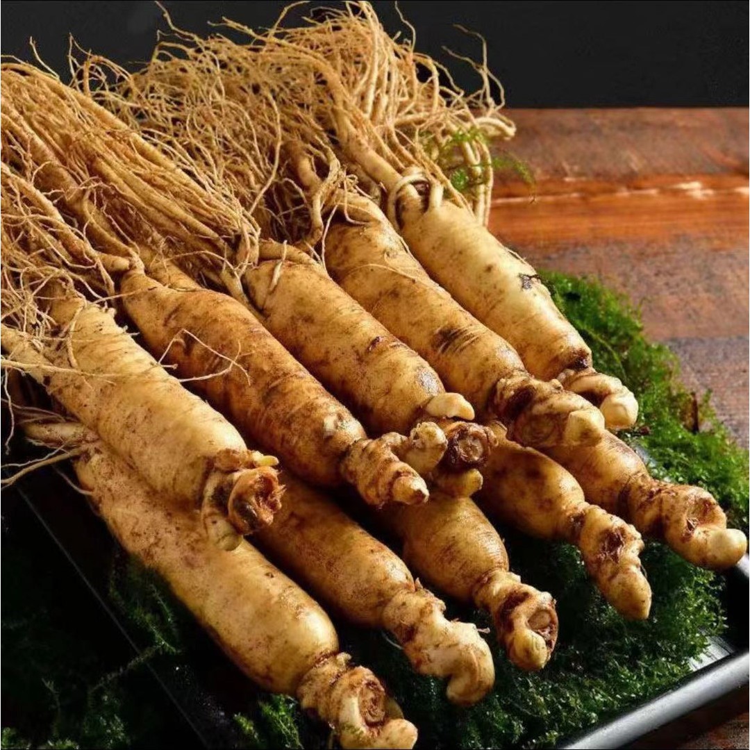 长白山新鲜人参单支35-40克12-15支1斤空运到家现采现挖新鲜