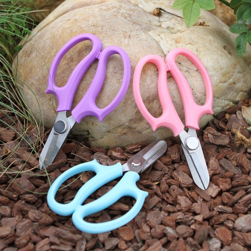 花剪园艺花艺剪刀宽头家用花剪鲜花花道剪花枝树枝修花修枝工具,鲜花速递/花卉仿真/绿植园艺,剪刀,淘宝优惠券,粉丝福利购,淘宝优惠卷