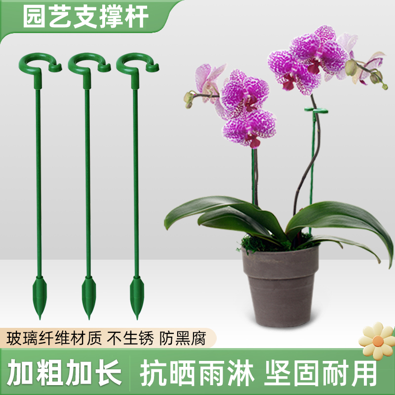防倒伏花杆植物塑形花架固定器蝴蝶兰花支架固定花神器园艺支撑杆