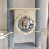 喵林苑定制实木大型猫爬架通天柱猫窝猫树一体超高猫玩具稳固大猫