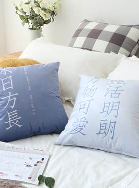 日式简约沙发抱枕北欧风格靠垫女生生日文艺床上靠枕情侣告白礼物