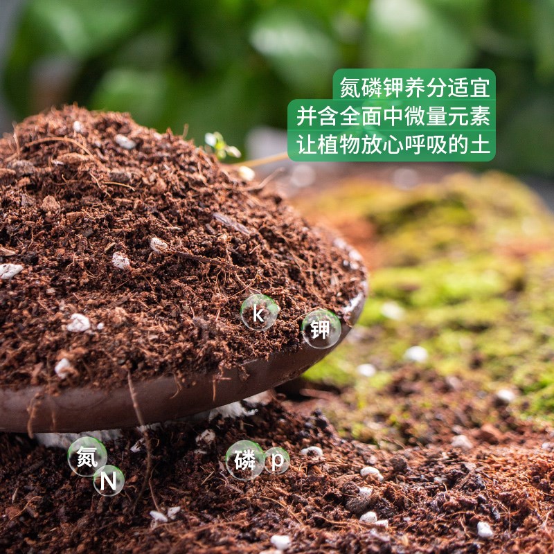 沃思林轻质泥炭土通用型养花专用营养土思威博花卉绿植盆栽种植土