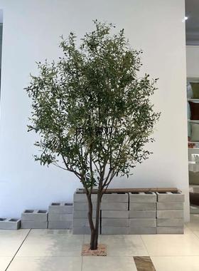 仿真橄榄树人造落地景观客厅别墅园林工程景观道具摆件假橄榄树