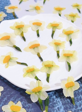 真花水仙侧压干花手机壳杯垫