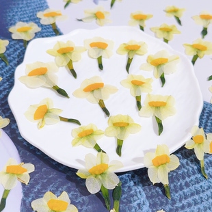 真花水仙花侧压手工DIY手机壳杯垫滴胶饰品干花材料压花画装饰