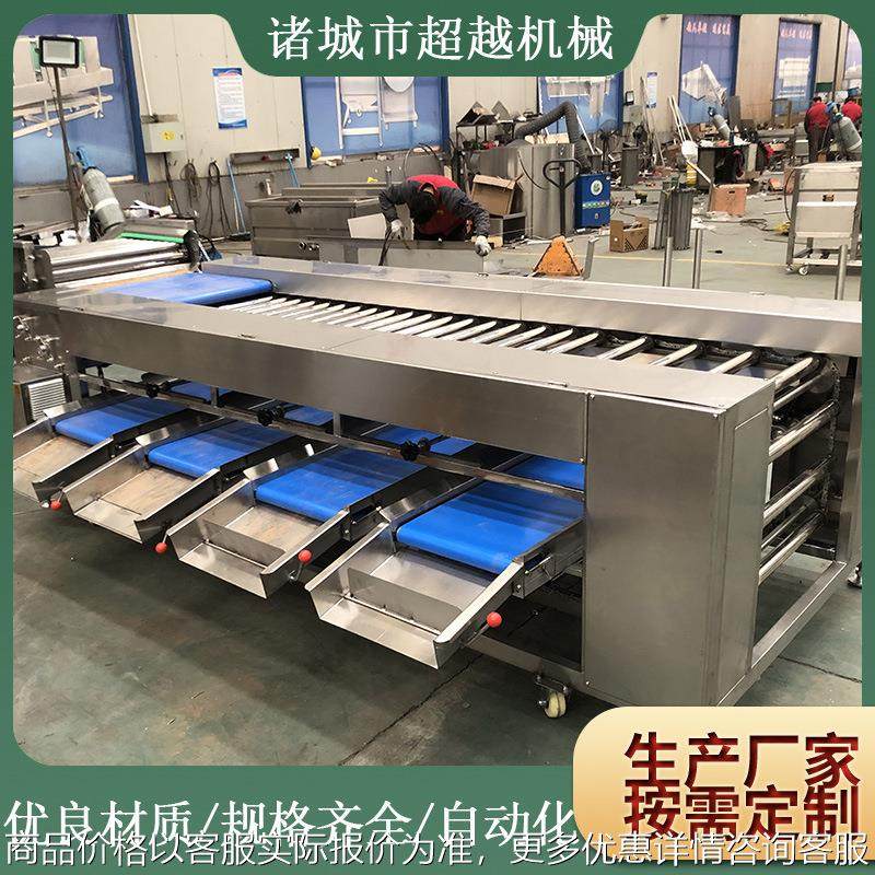 厂家现货供应土豆分选机 果蔬类分级机 荔枝龙眼圣女果选果机
