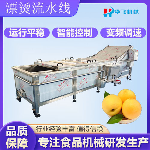 连续式黄金杏漂烫机 全自动果脯清洗预煮设备 黄桃杀青护色流水线