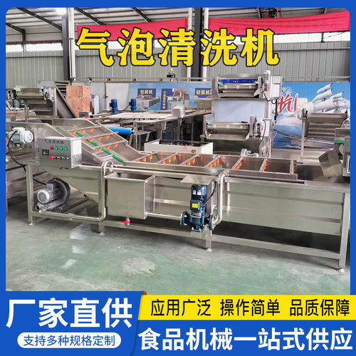 翻浪式气泡清洗机蚕蛹蚂蟥清洗设备面包虫蜗牛清洗加工线