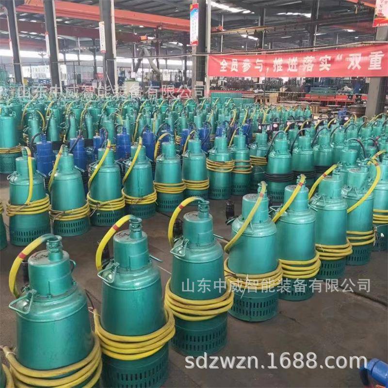 BQS型矿用污水潜水排沙电泵煤矿用防爆型排污排沙电泵