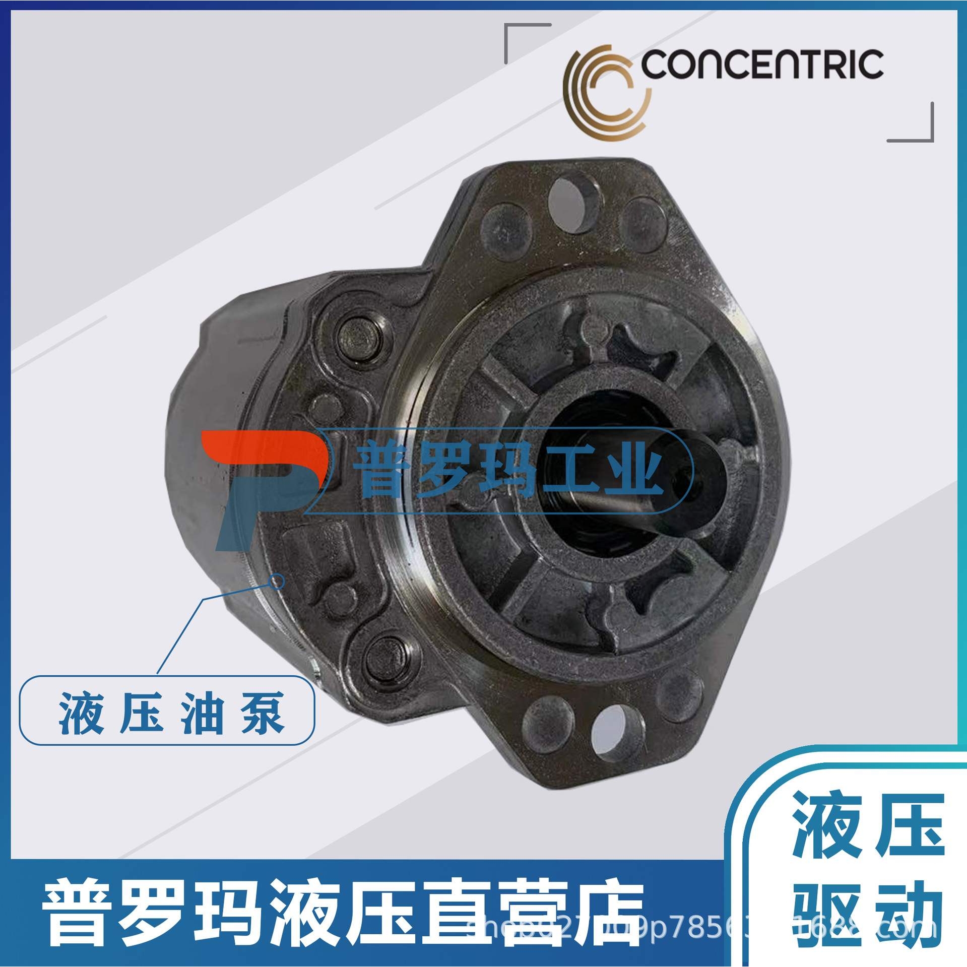 原装进口德国CONCENTRIC康斯克油泵 WP09A1B 1802025 齿轮泵马达