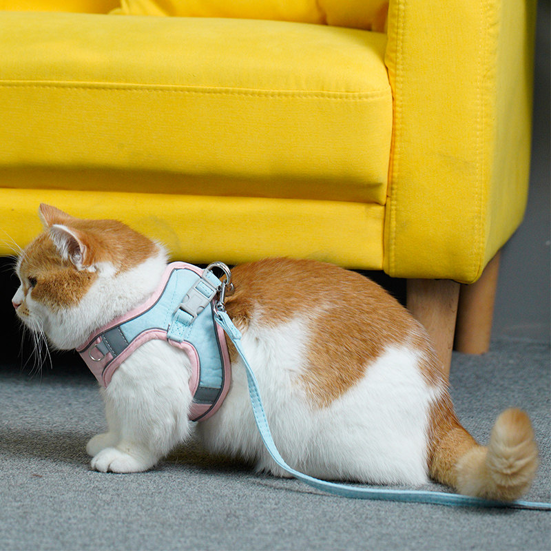 猫咪牵引绳家用背心式胸背带外出防挣脱遛猫绳狗狗溜猫链宠物用品,宠物/宠物食品及用品,狗牵引绳,淘宝优惠券,粉丝福利购,淘宝优惠卷
