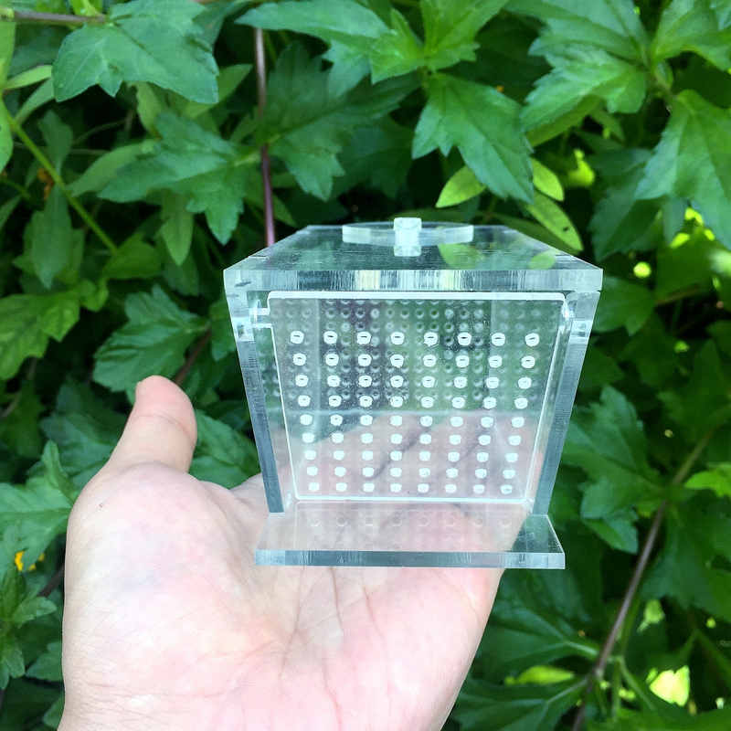 海水缸捕蟹盒抓虾盒鱼缸捕鱼盒抓蟹抓螺盒亚克力单向活门诱捕盒